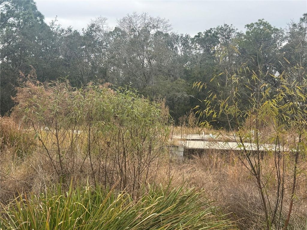 Photo of 1443 Tern Court, Poinciana, FL 34759 (MLS # O6378720)