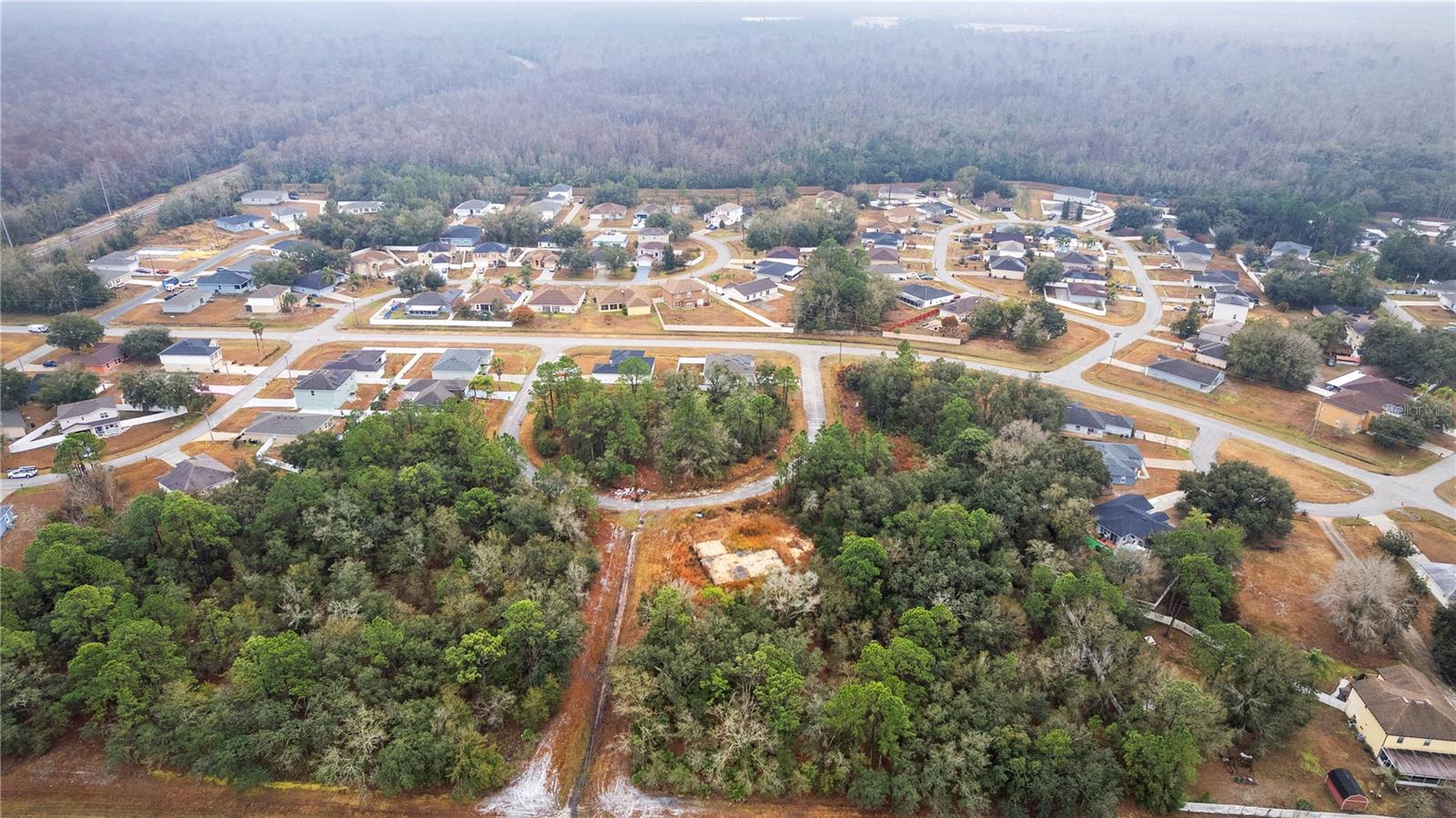 POINCIANA VILLAGE 03 NBRHD 06S - Land