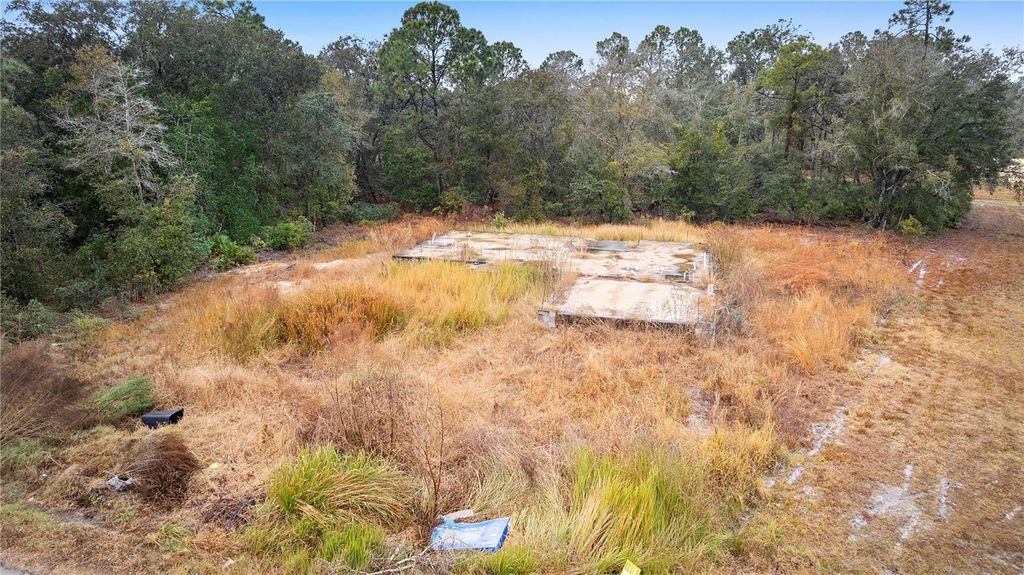 Photo of 1443 Tern Court, Poinciana, FL 34759 (MLS # O6378720)