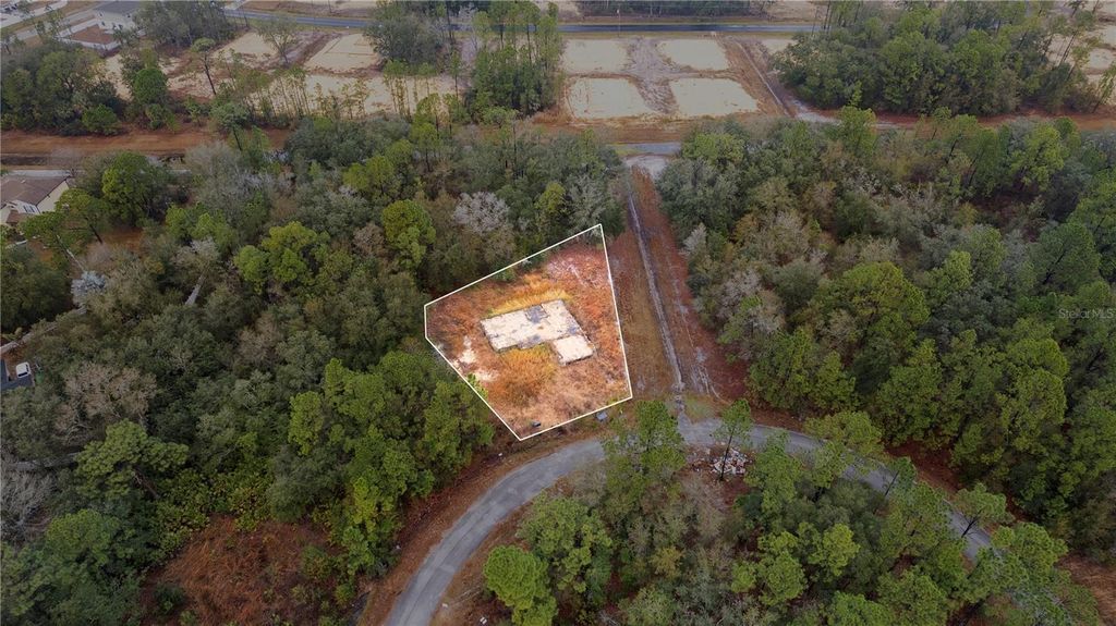 Photo of 1443 Tern Court, Poinciana, FL 34759 (MLS # O6378720)