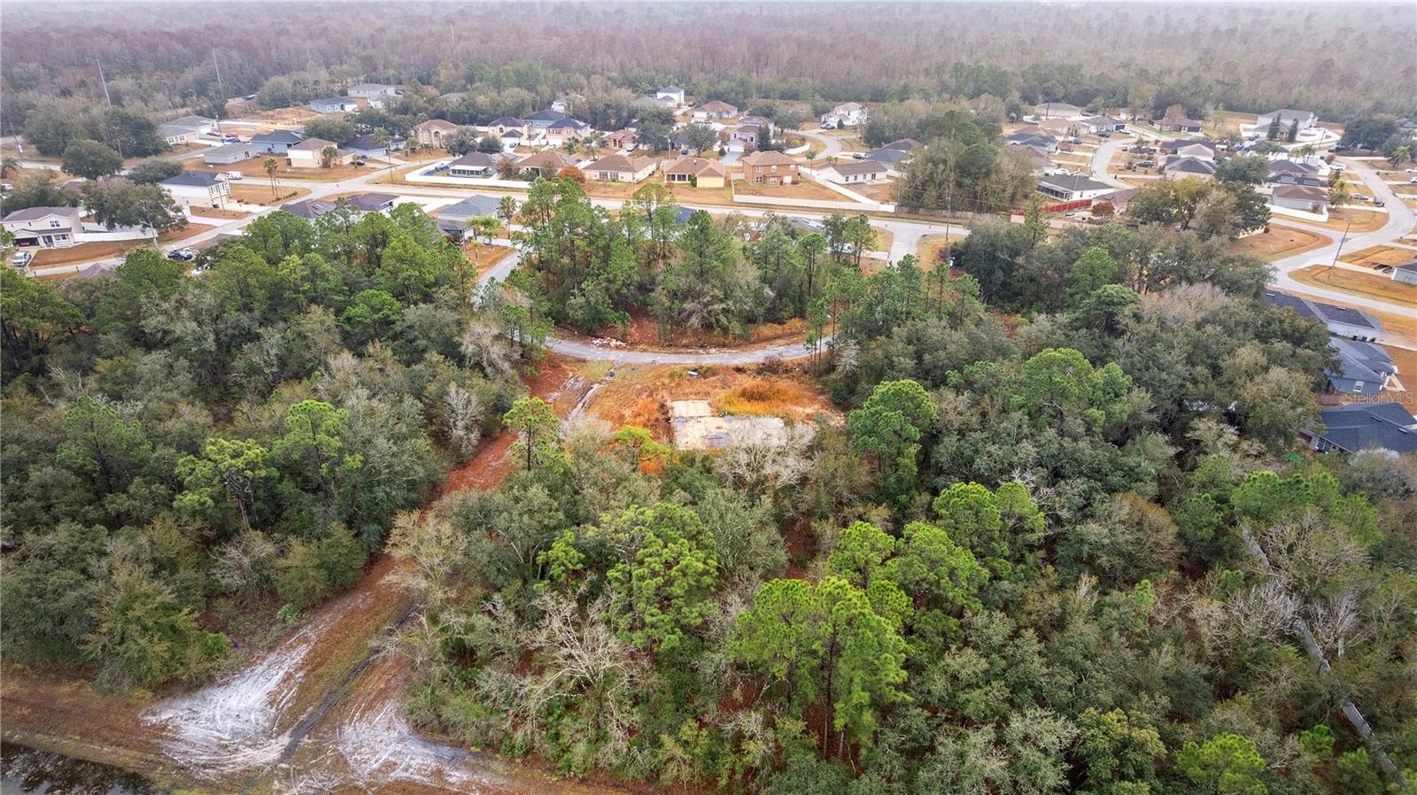 POINCIANA VILLAGE 03 NBRHD 06S - Land