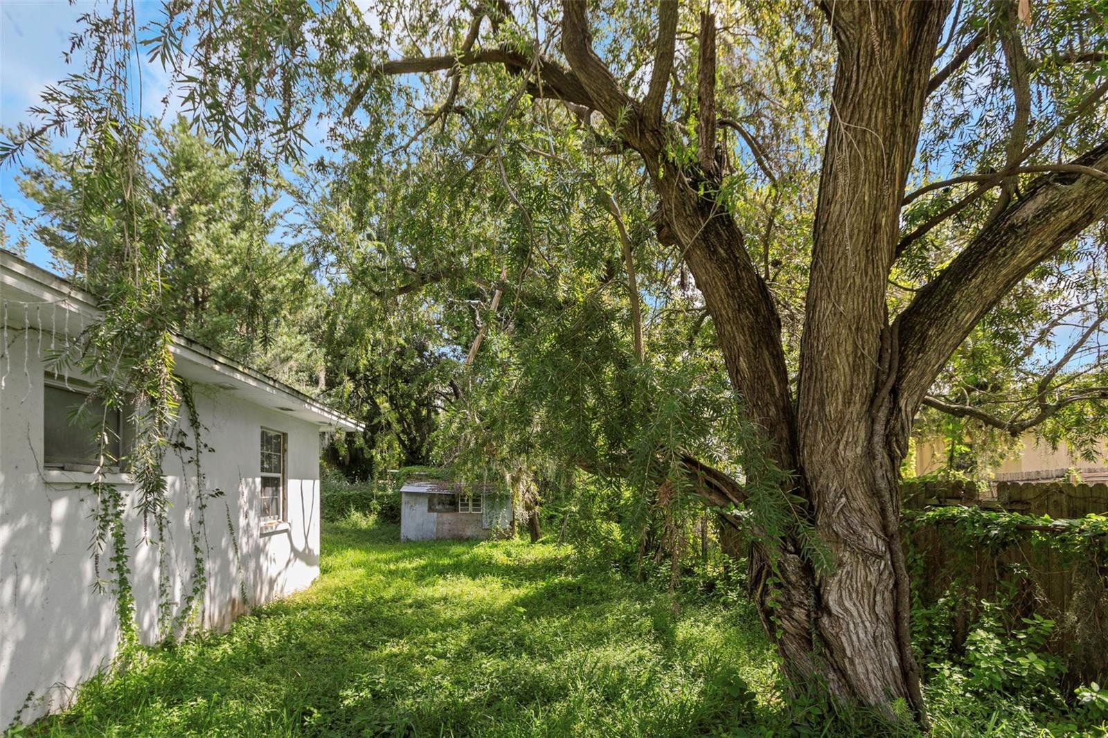 FOREST HEIGHTS - Residential