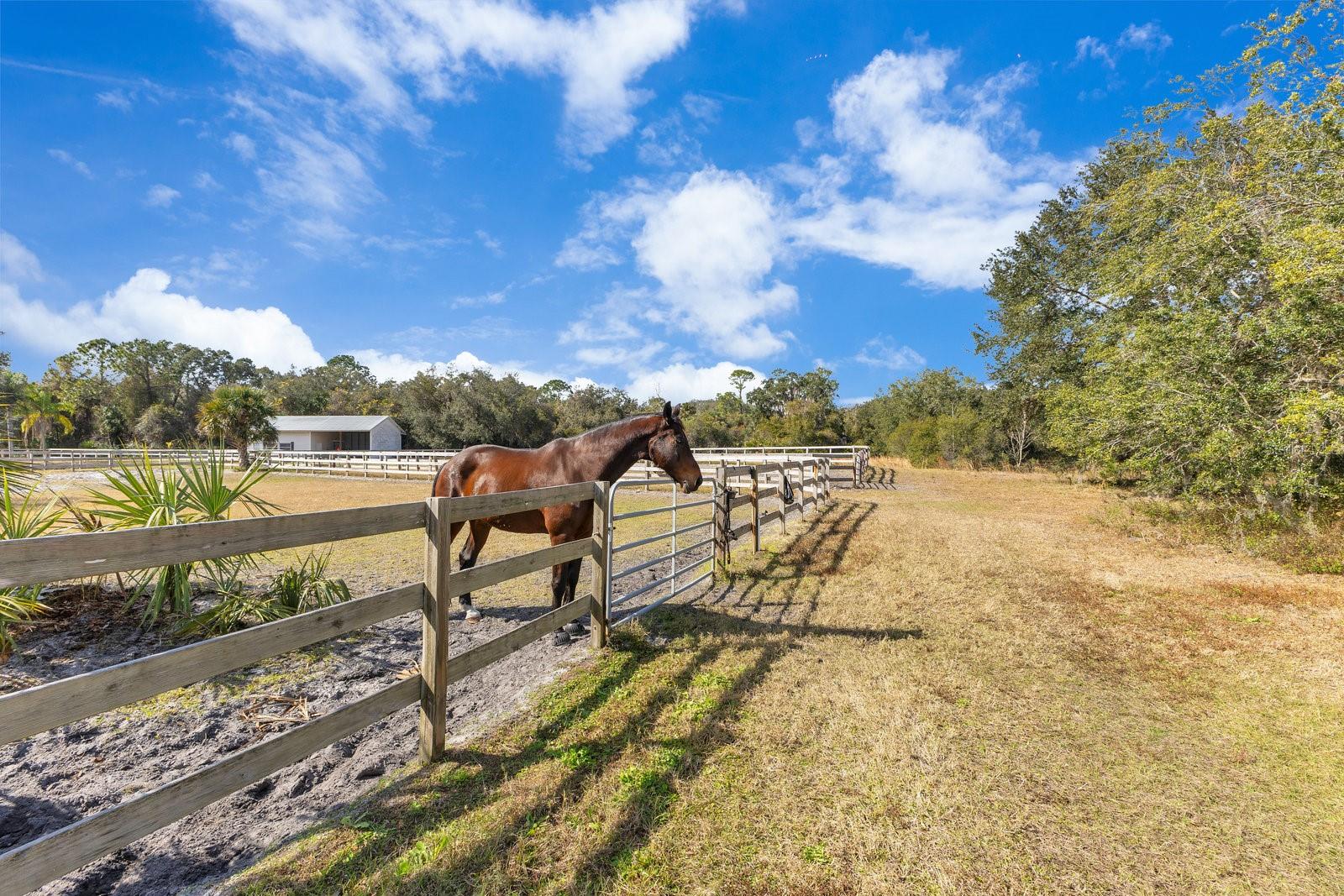 ST JOHNS RANCH ESTATES - Residential