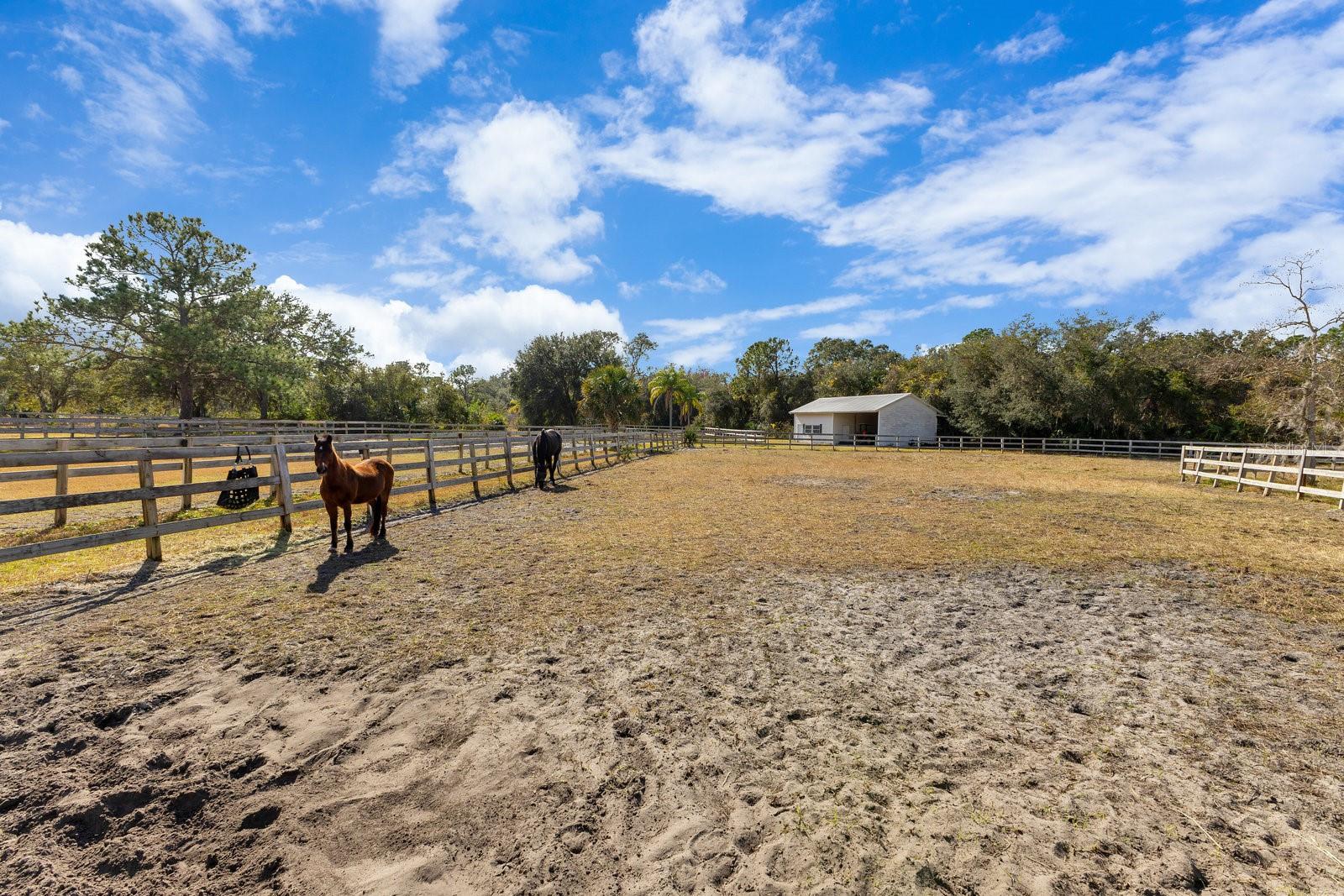 ST JOHNS RANCH ESTATES - Residential