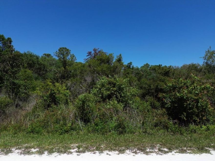 Unicorn Homesite!!! Rare opportunity to own 1+ acre of serene land directly across from picturesque Thomas Lake in a quiet, site-built homes-only area. Enjoy peace, privacy, and South-facing exposure for ideal natural lighting. Nestled in Florida's Nature Coast, this parcel offers a tranquil setting approximately 10 mins to Route 50, 45 mins to Tampa Int’l Airport, and 90 mins to Disney. Nature lovers will enjoy nearby access to the Withlacoochee River, Rails to Trails, boat ramps, canoeing, fishing, golf, and state parks. Perfect for your dream home or next custom build project. Drive by and experience the potential! Seller motivated and willing to entertain reasonable offers. Street address will be 33455 once built upon.