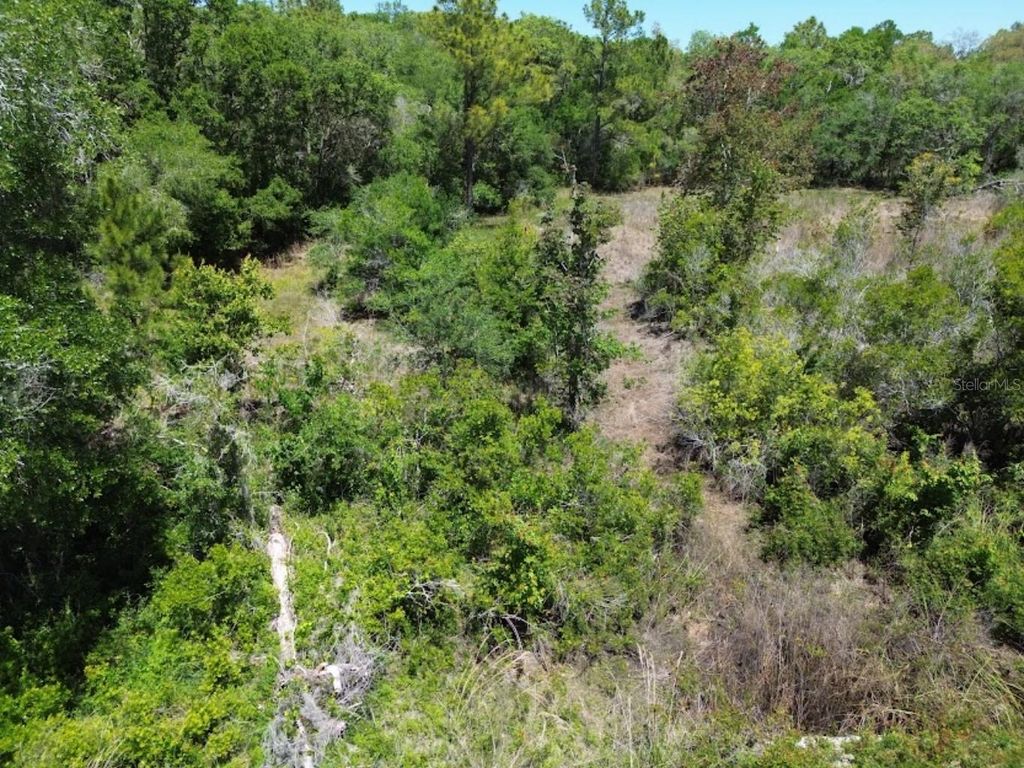 Photo of 33455 Berryhill Drive, Webster, FL 33597 (MLS # OM711010)