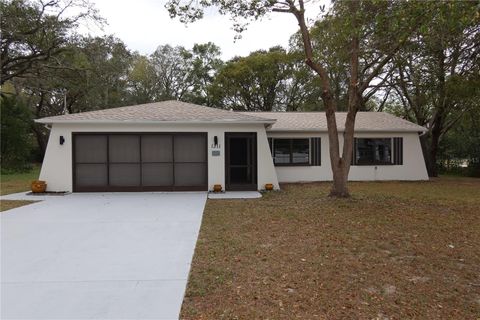 1311 BATTERSEA AVENUE SPRING HILL FL 34609