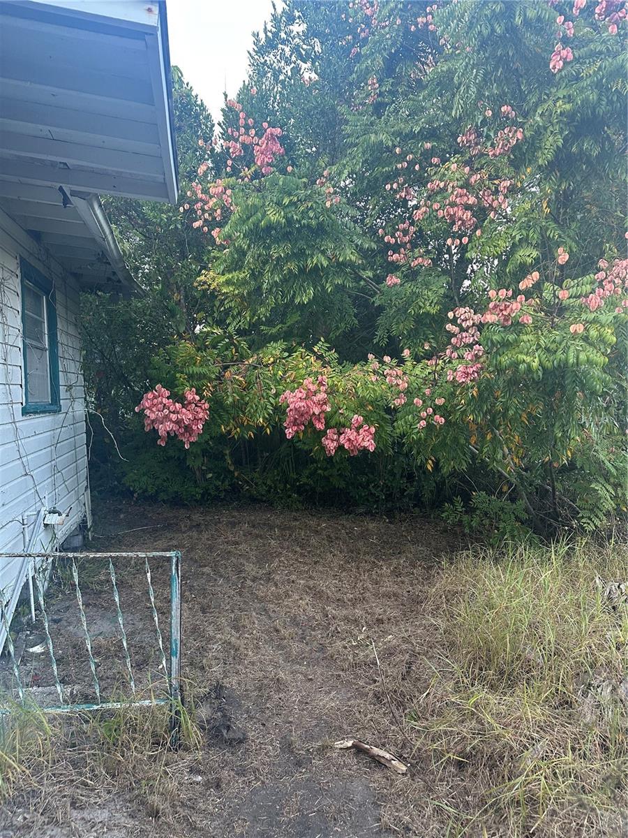 HARRIS E 01/2 BLK 161 DELAND - Residential