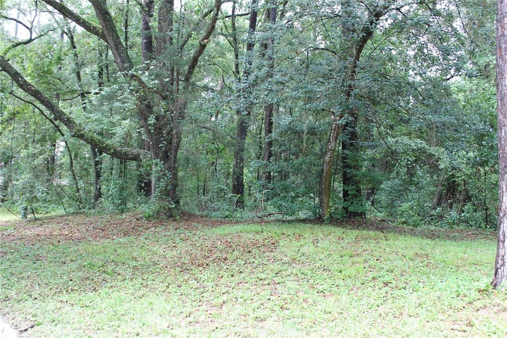 Photo of 2030 SW 70th Terrace, Gainesville, FL 32607 (MLS # GC532633)