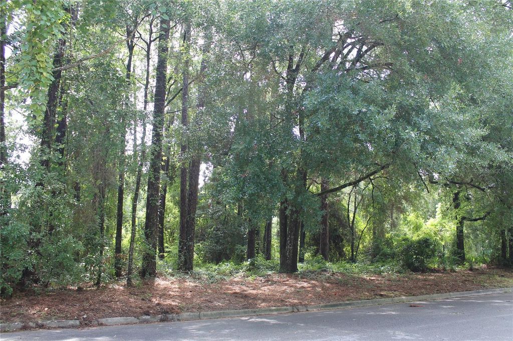 Photo of 2030 SW 70th Terrace, Gainesville, FL 32607 (MLS # GC532633)