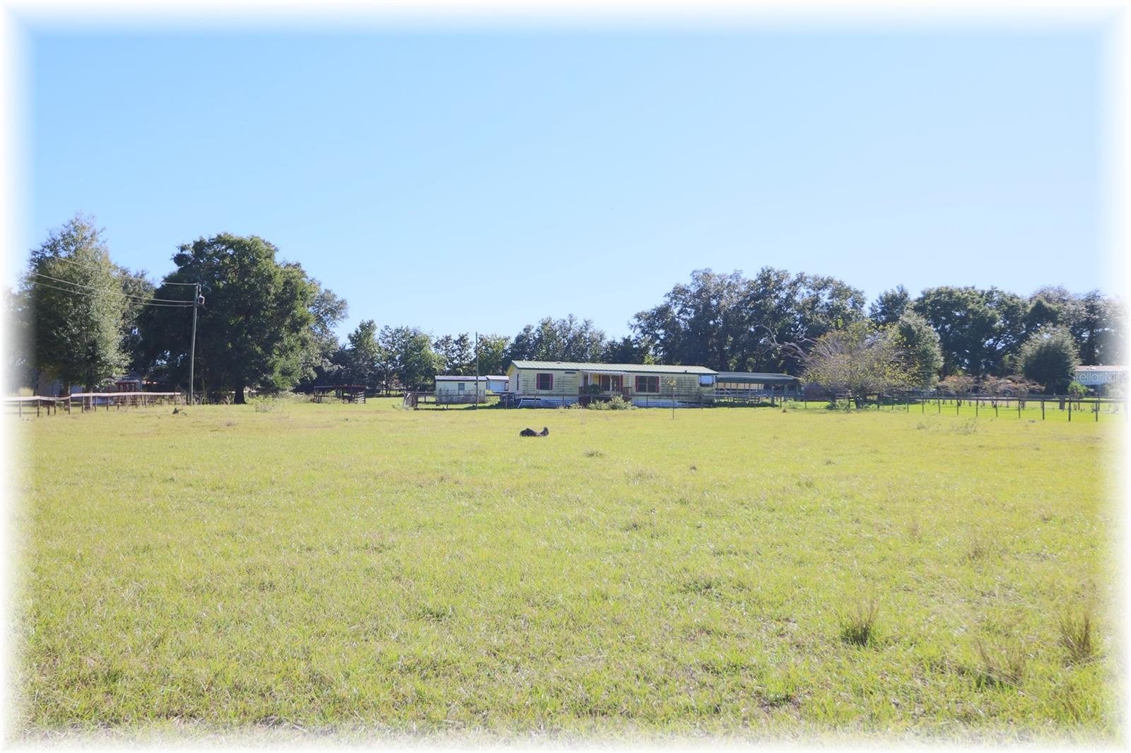 LAKE WEIR OAKS - Residential
