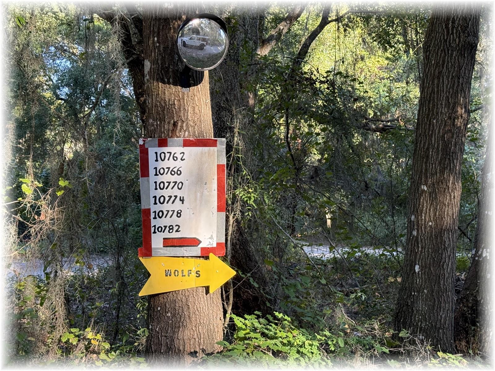 LAKE WEIR OAKS - Residential