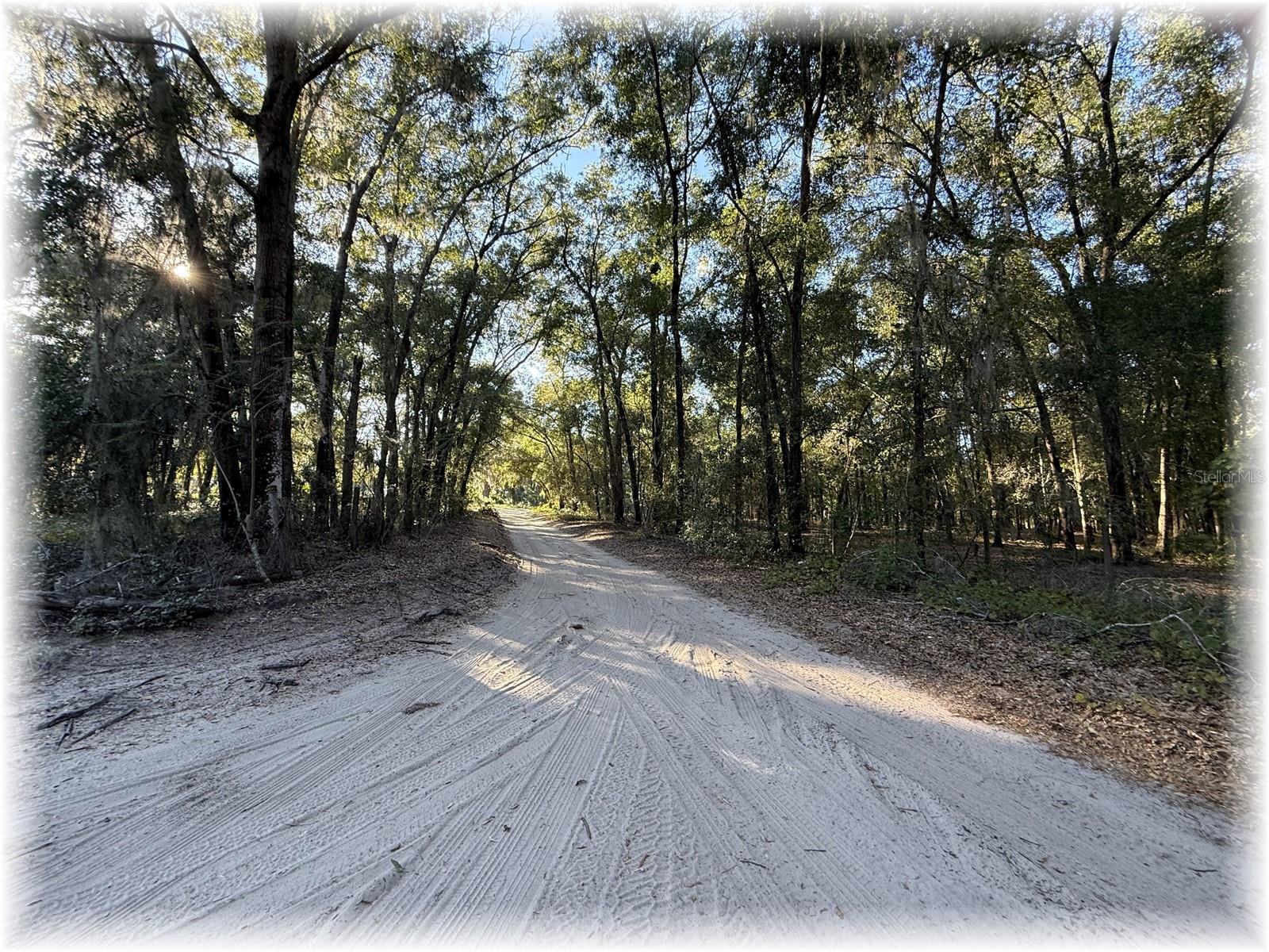 LAKE WEIR OAKS - Residential