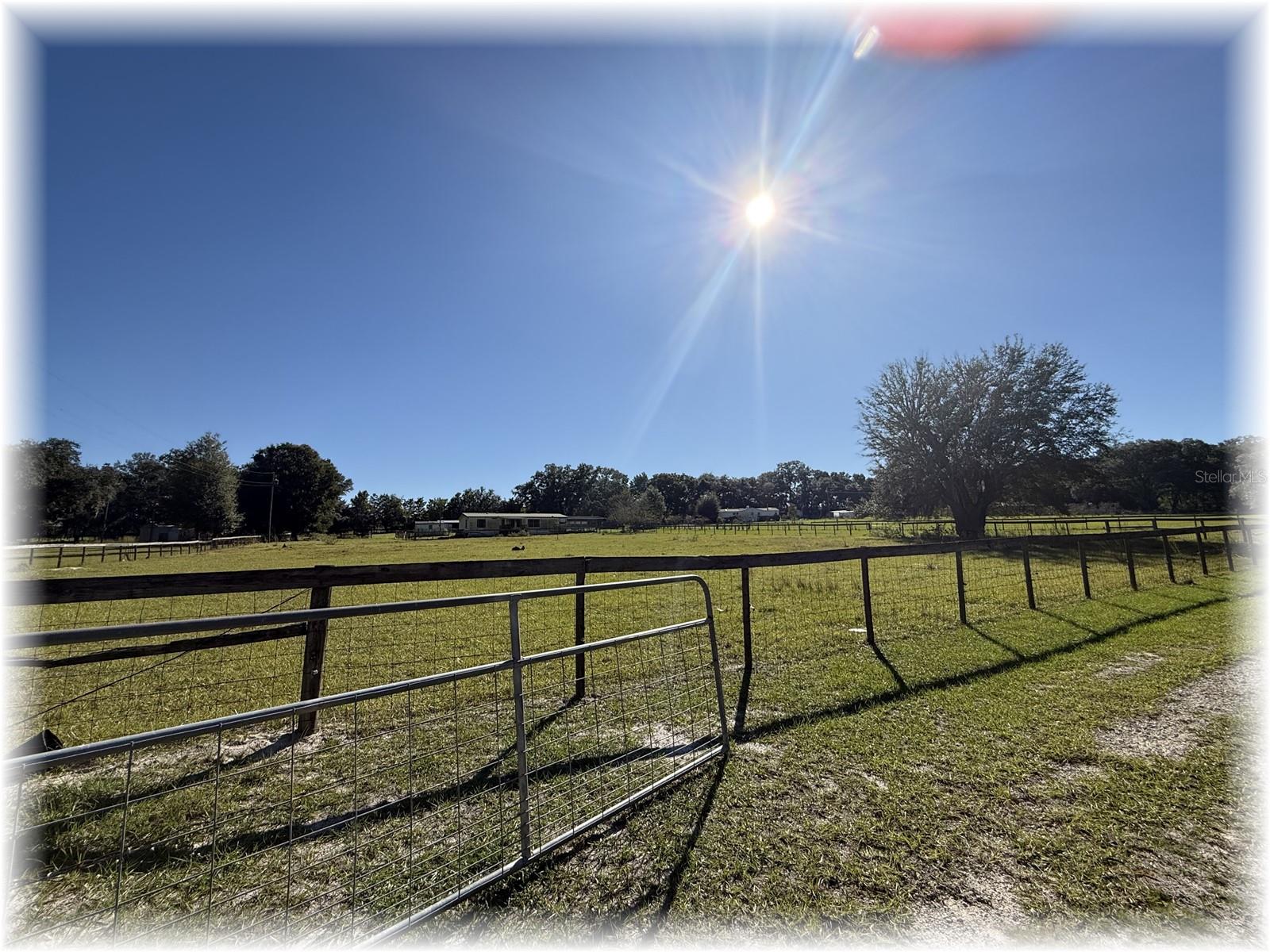 LAKE WEIR OAKS - Residential