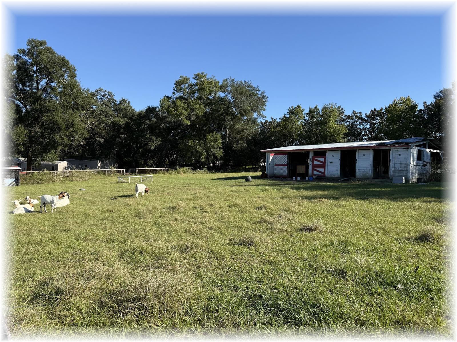 LAKE WEIR OAKS - Residential