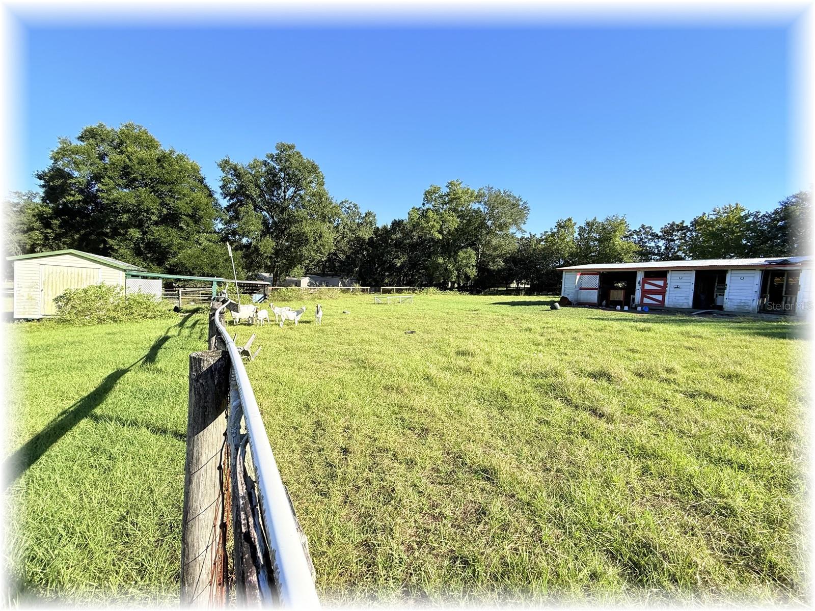 LAKE WEIR OAKS - Residential