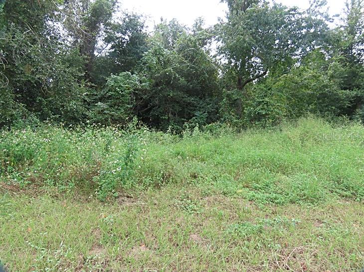 17701 SEIDNER ROAD