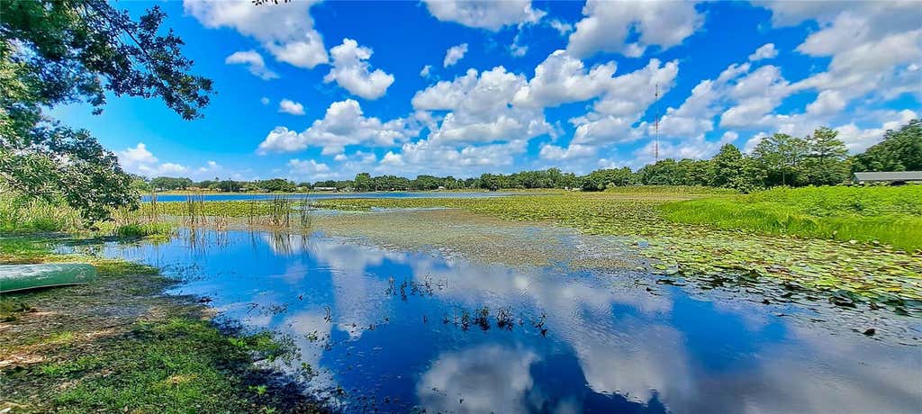 Photo of 3017 Bay Lake Road, Orlando, FL 32808 (MLS # O6432813)