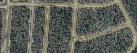 000 GALLOP PLACE CHIPLEY FL 32428