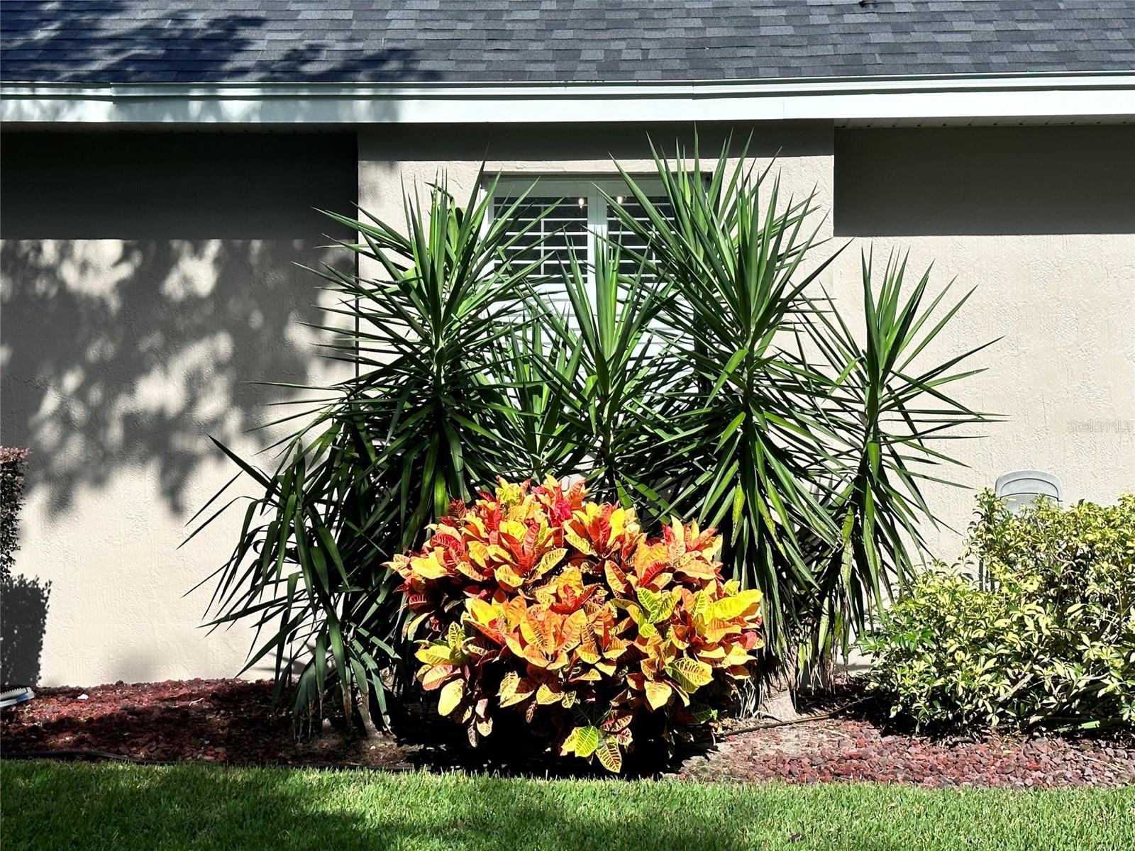 SKIDMORE - Residential