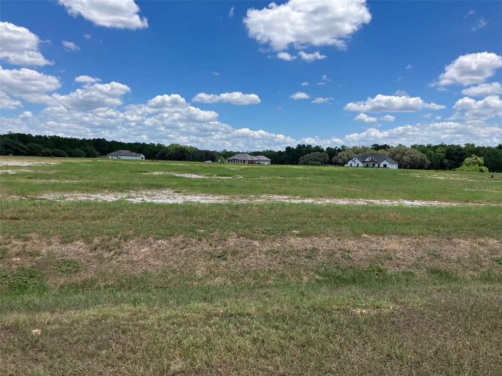 Photo of 38402 Wooded Meadow Drive, Umatilla, FL 32784 (MLS # G5112521)