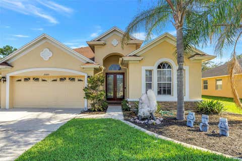 Photo of 27405 Sora Boulevard, Wesley Chapel, FL 33544 (MLS # W7887326)