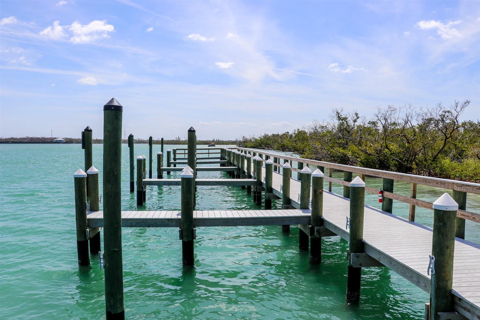 SABAL PALM POINT - Land
