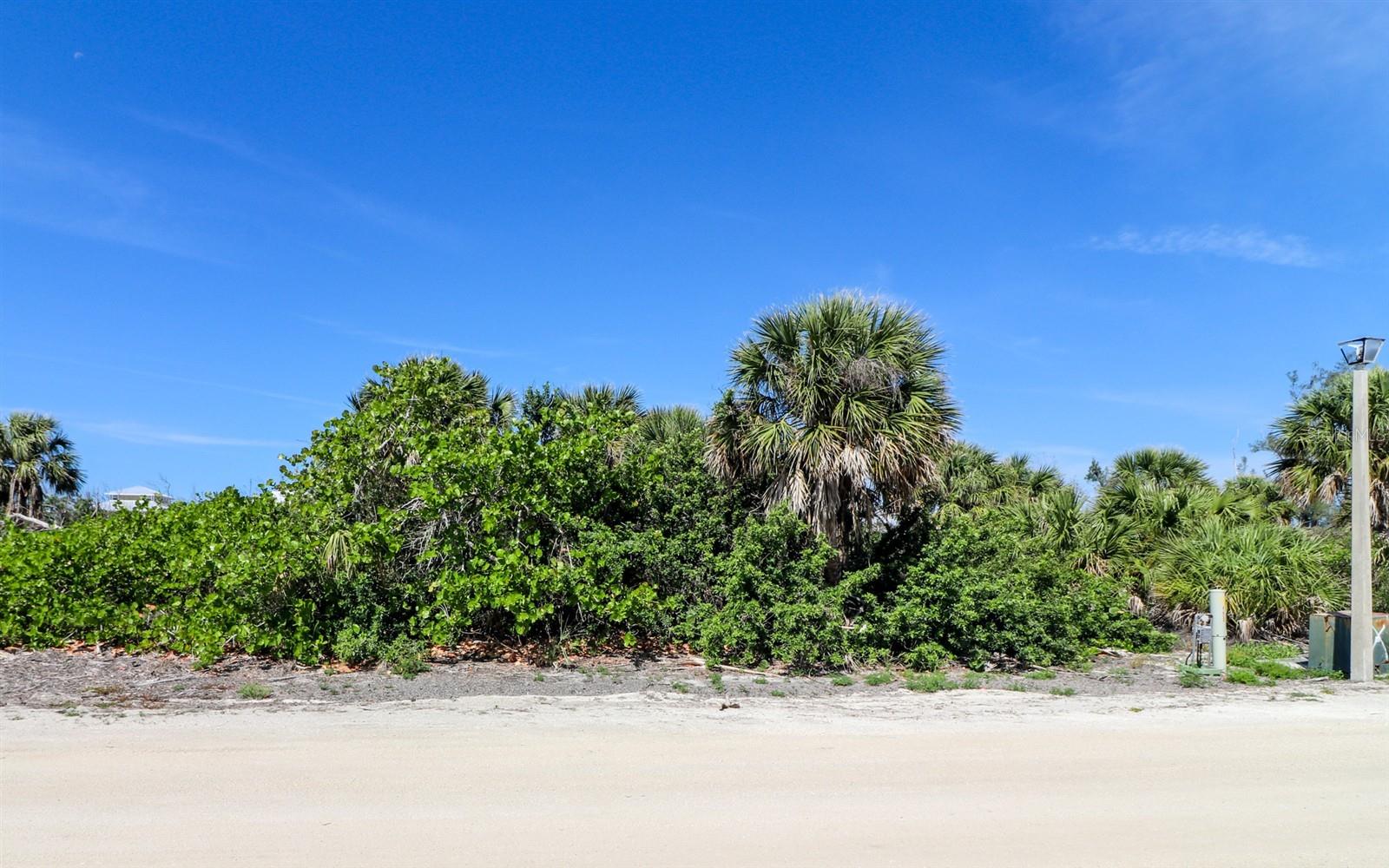 SABAL PALM POINT - Land