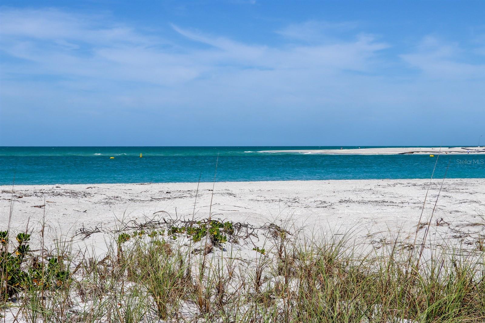 SABAL PALM POINT - Land