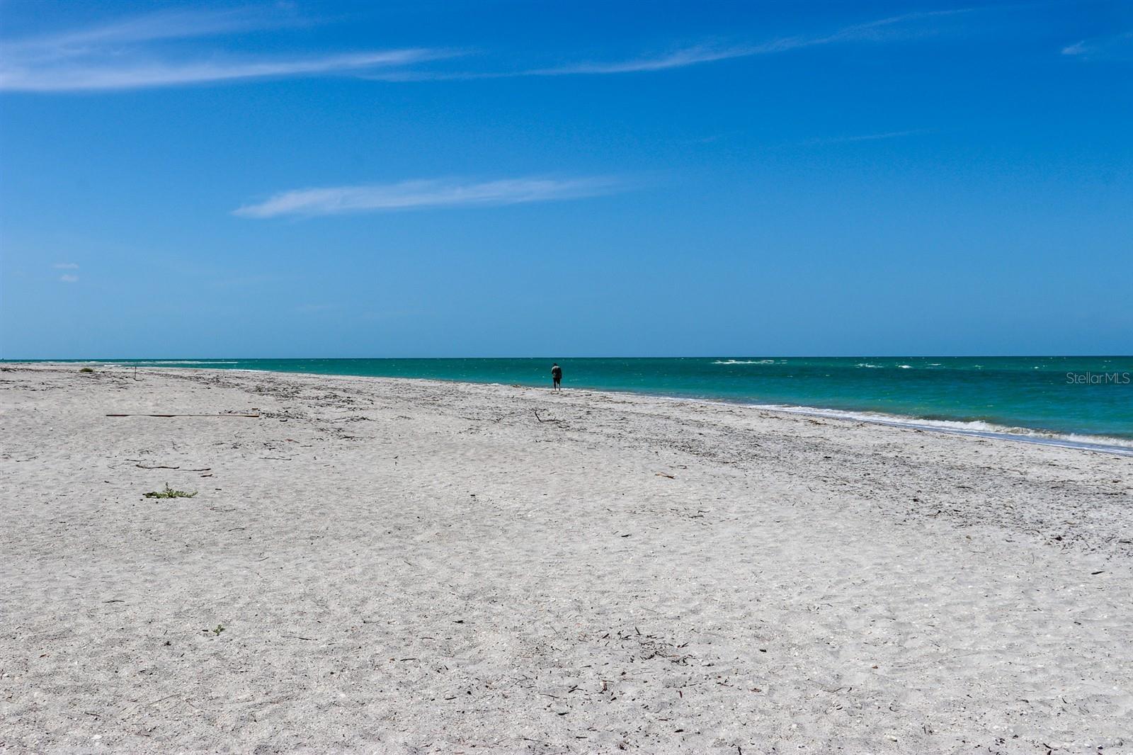 SABAL PALM POINT - Land