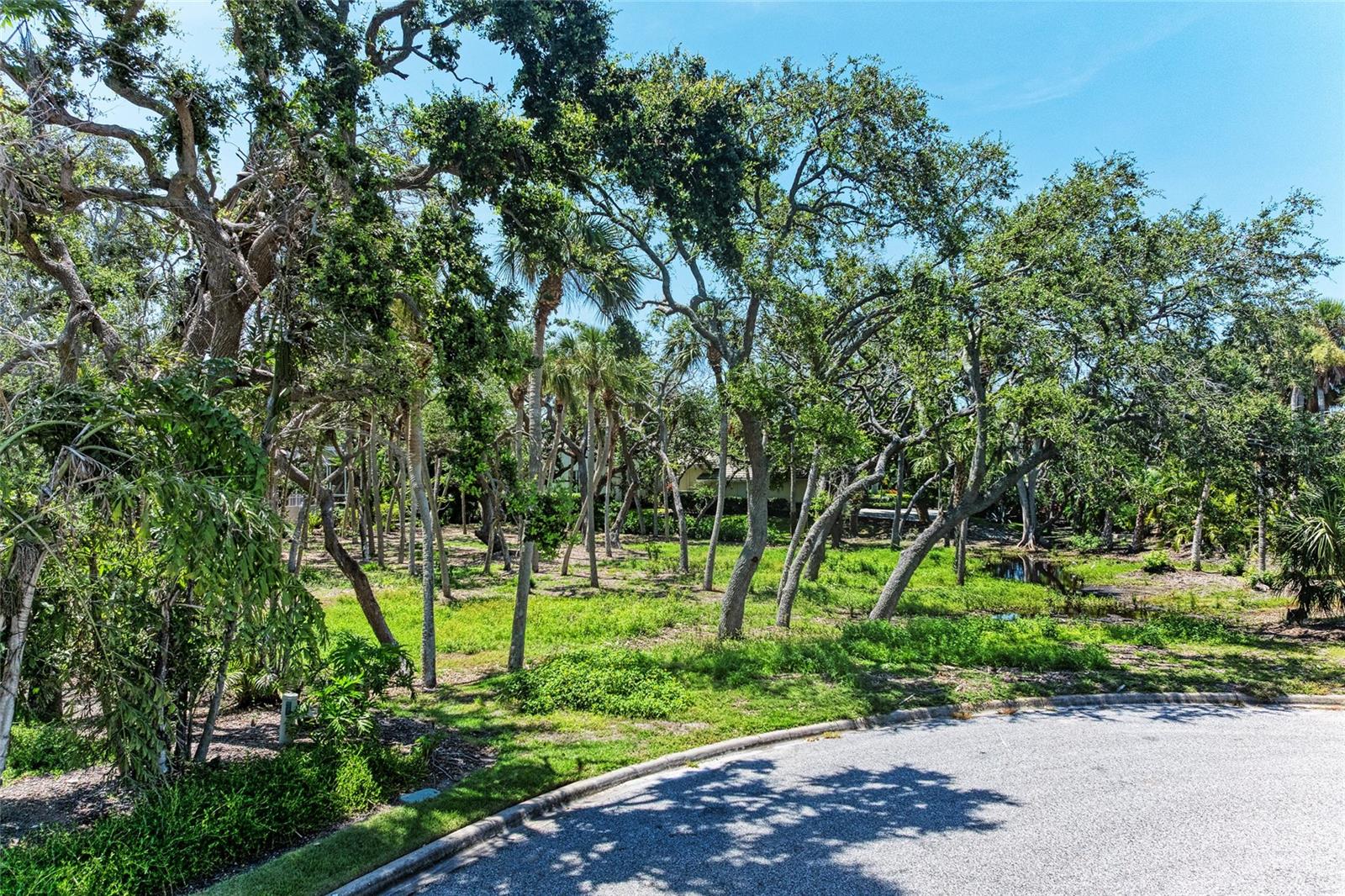 3341 SABAL COVE PLACE