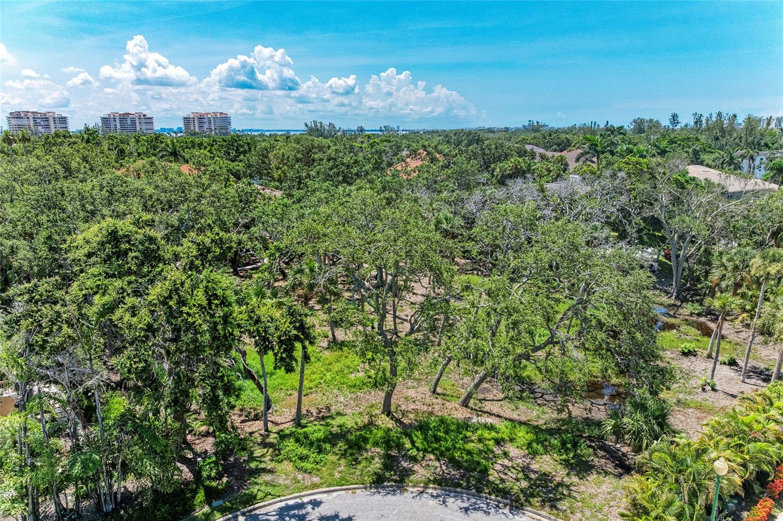 3341 SABAL COVE PLACE