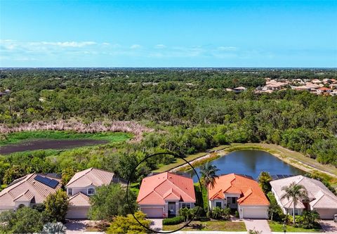 Photo of 11603 Dancing River Drive, Venice, FL 34292 (MLS # N6144229)