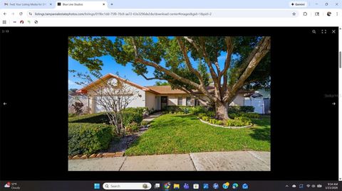 3103 BENTWOOD LANE SAFETY HARBOR FL 34695