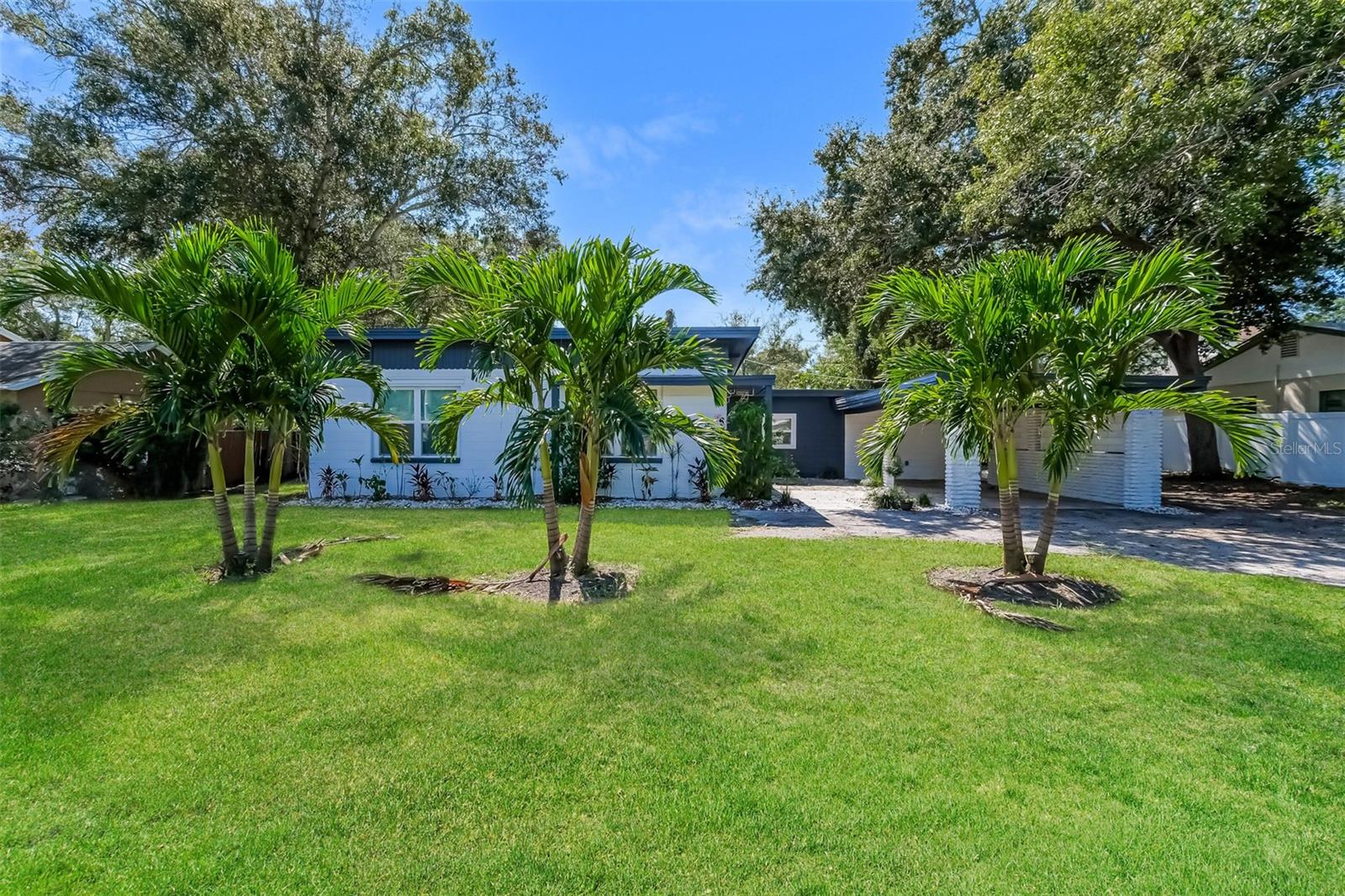 SOUTH SHADOW LAWN - Residential