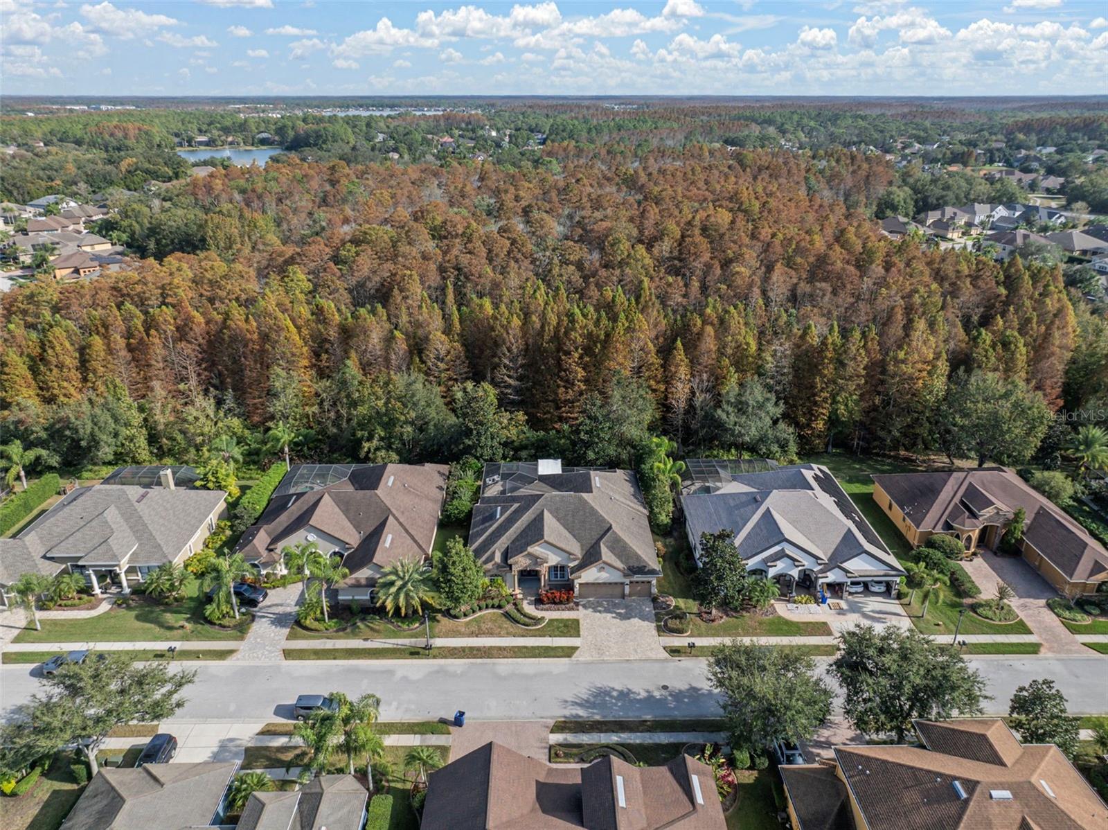 GREY HAWK AT LAKE POLO PH 02 - Residential