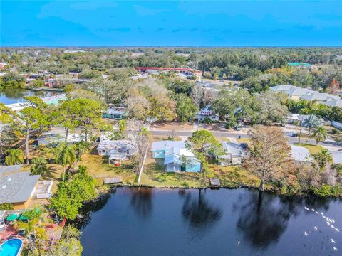 A home in PALM HARBOR