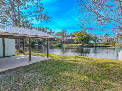 A home in PALM HARBOR