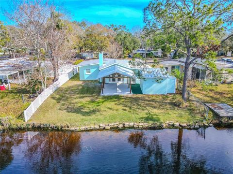 A home in PALM HARBOR