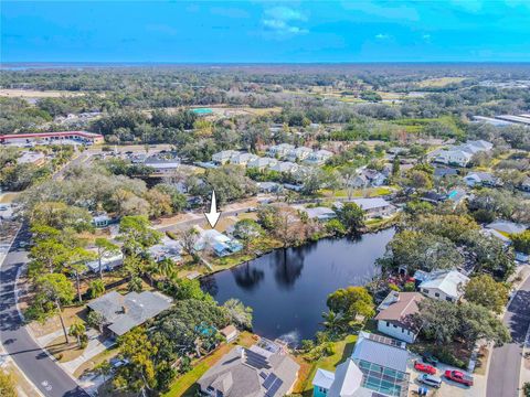 A home in PALM HARBOR