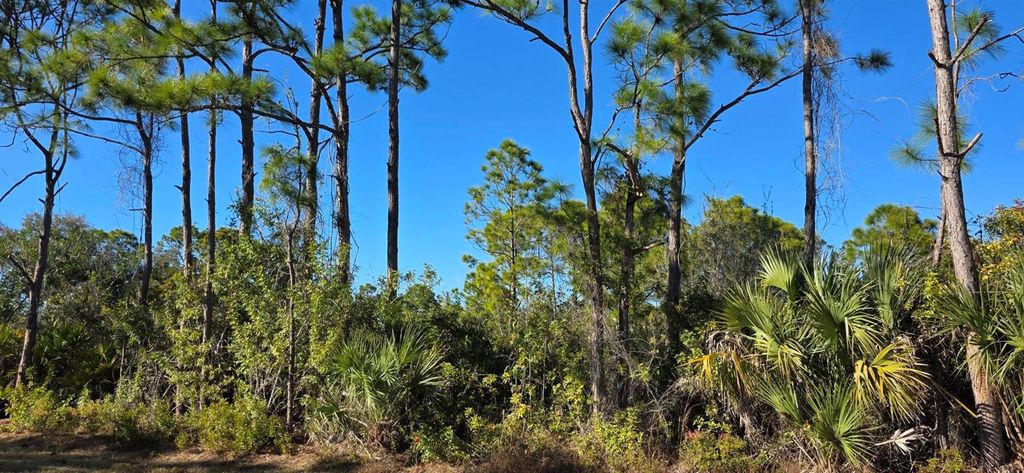 Photo of 12054 Keller Avenue, Port Charlotte, FL 33981 (MLS # C7521647)