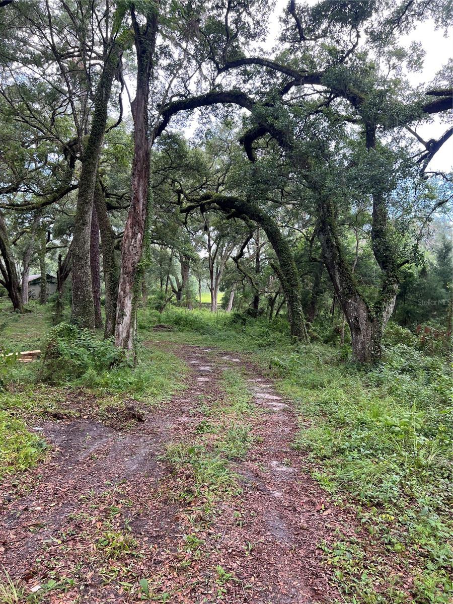 Discover the perfect blend of seclusion and convenience with this beautiful 5-acre wooded parcel located just off desirable Parker Road in Gainesville. Tucked away behind a private, winding drive, this builder-ready property is equipped with power and a septic system already in place—making it an ideal canvas for your dream home.
The land is graced with majestic, mature oaks and zoned for timber, offering both natural beauty and future value. A mobile home currently sits on the property and holds no value; it will be the buyer's responsibility to remove or keep at their discretion.
Enjoy peaceful country living while being just minutes from shopping, dining, and top-rated schools. Whether you're looking to build a private estate or create a nature retreat, this rare opportunity combines privacy, location, and readiness for development.
Don’t miss your chance to own a slice of paradise on sought-after Parker Road!