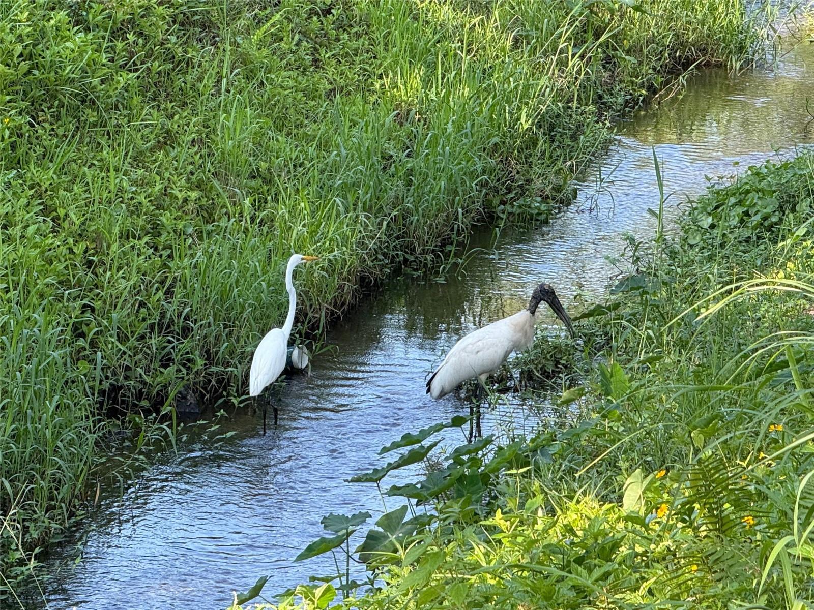 SANFORD TOWN OF - Land