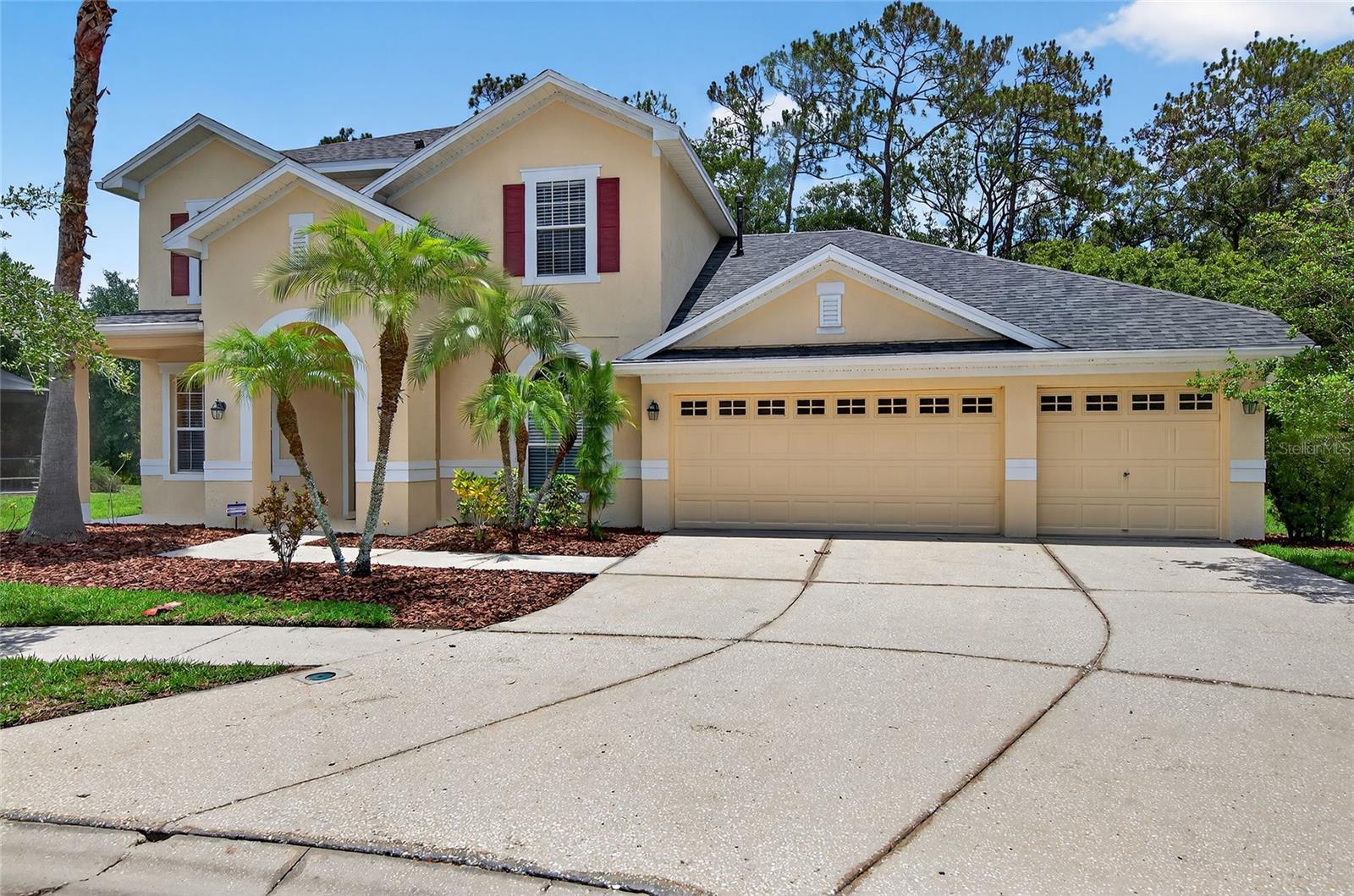 16102 COLCHESTER PALMS DRIVE
