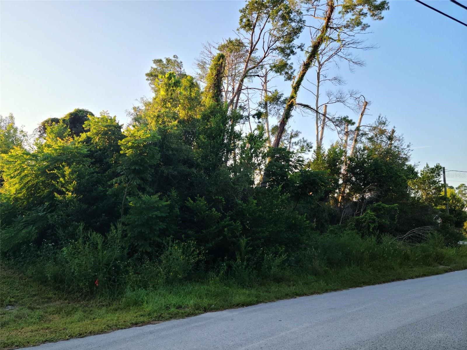 SPRING HILL UNIT 23 - Land