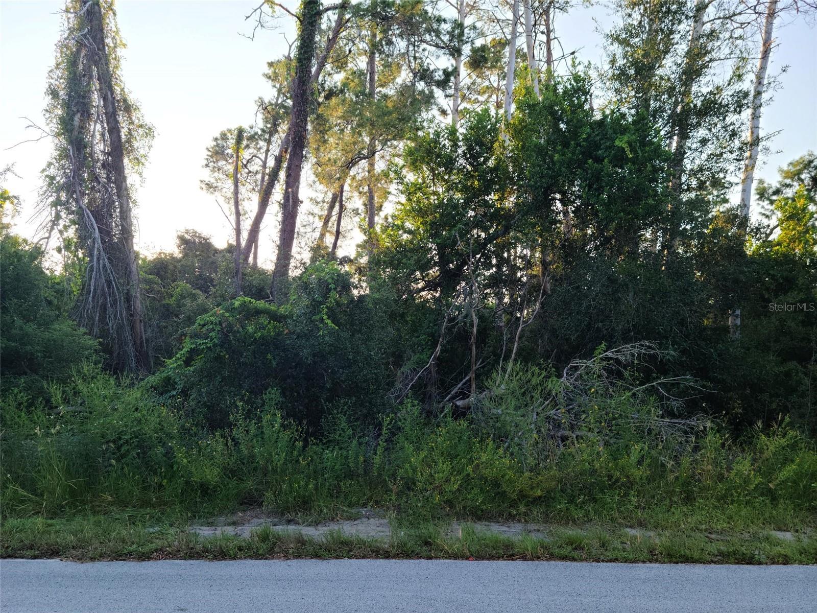 SPRING HILL UNIT 23 - Land