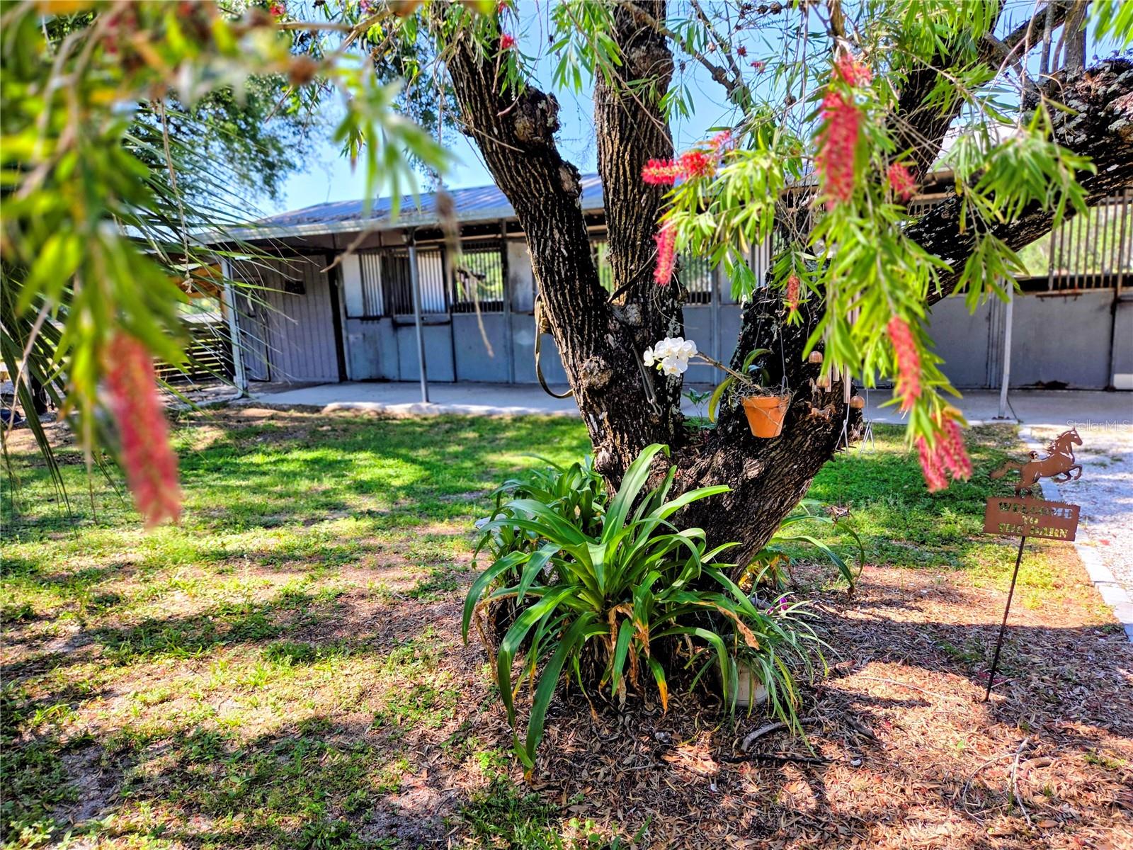 SADDLE CREEK - Residential