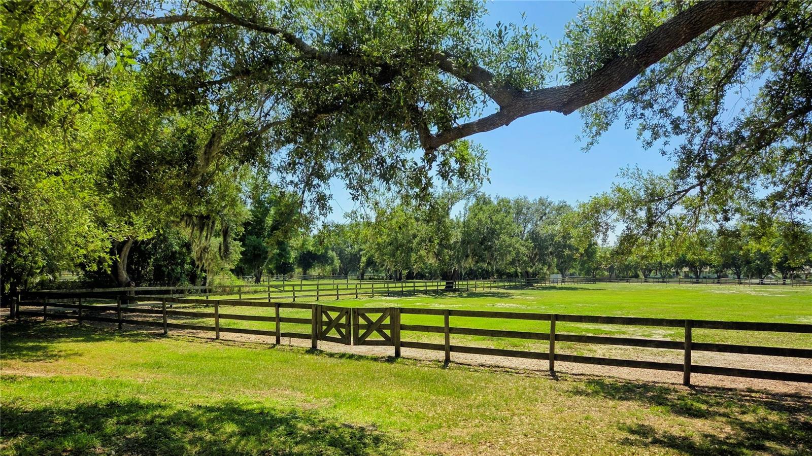 SADDLE CREEK - Residential