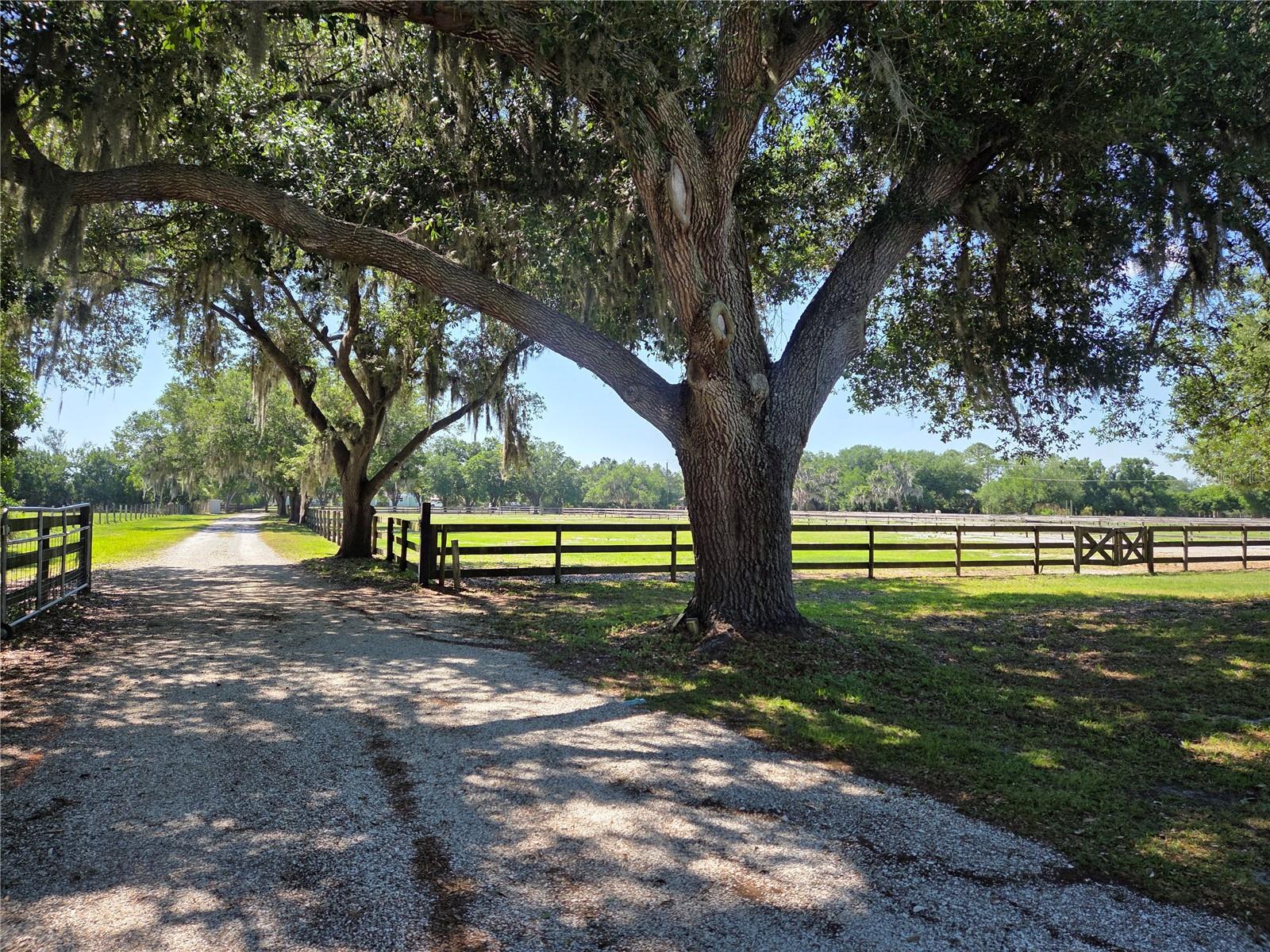 SADDLE CREEK - Residential