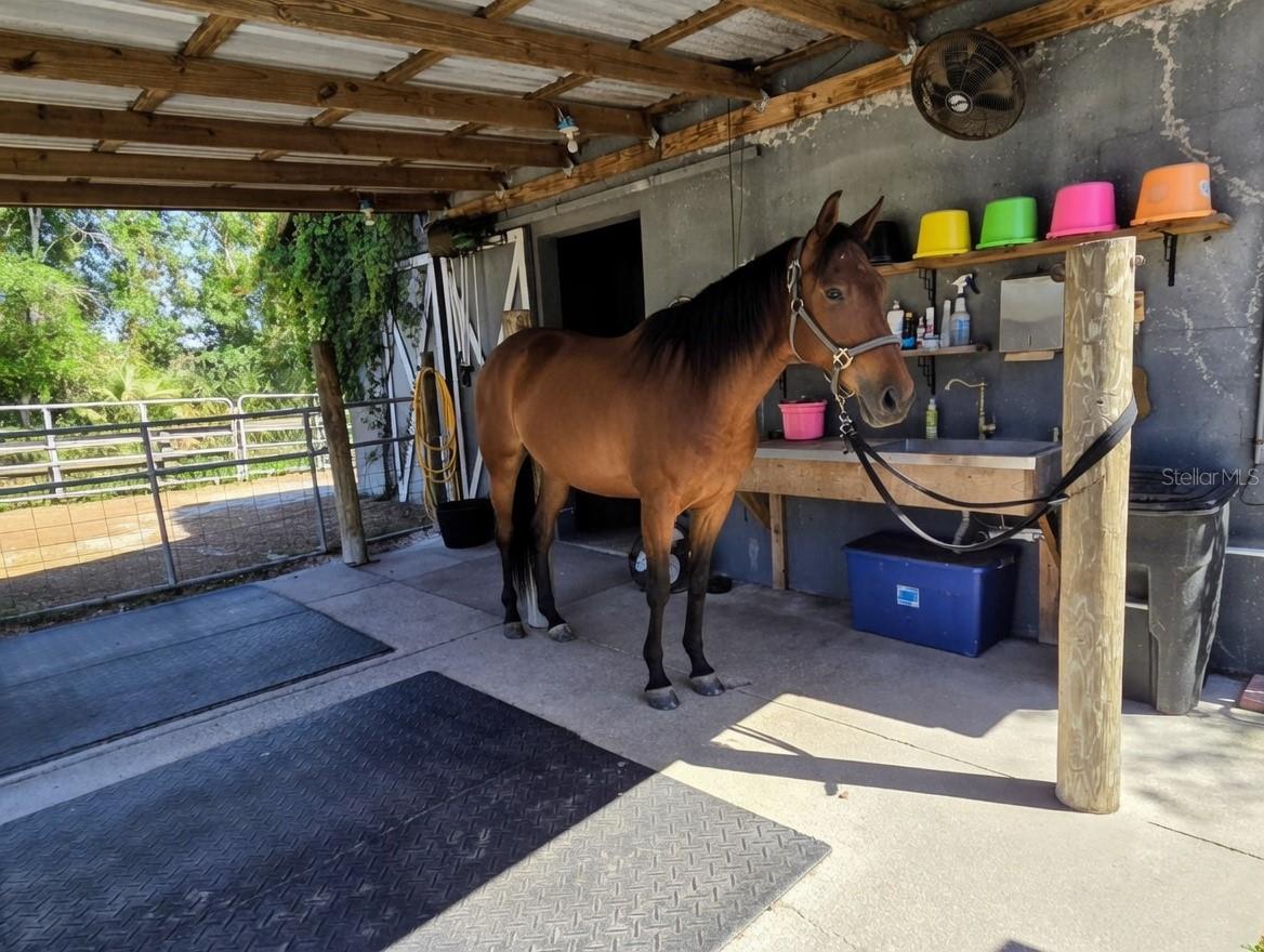 SADDLE CREEK - Residential